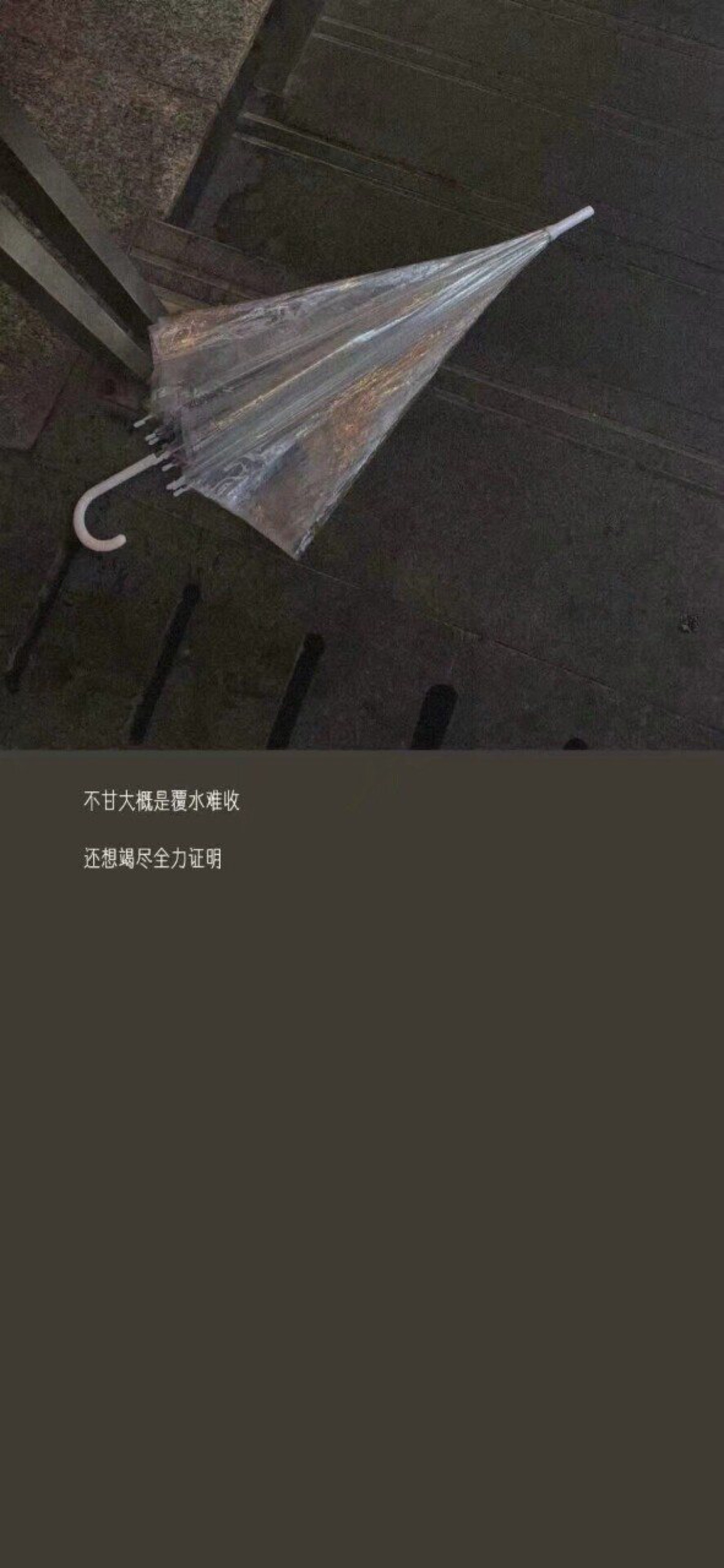 月亮在慢慢变圆,事情也会慢慢变好对吧