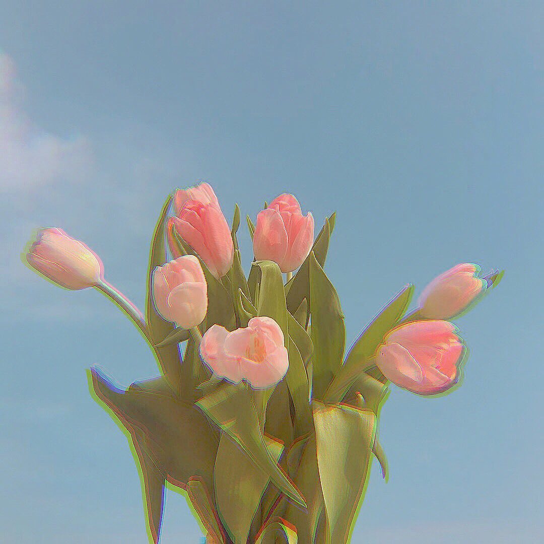 超仙花朵背景图图片