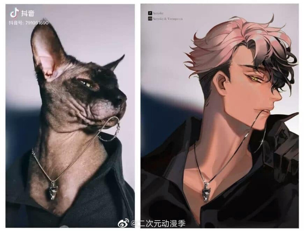 傲慢- 堆糖,美图壁纸兴趣社区