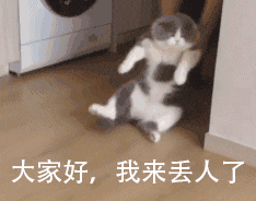 大家好,我出来丢人了(猫咪倒放 gif 动图)