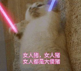 猫咪荧光棒gif挥舞图片