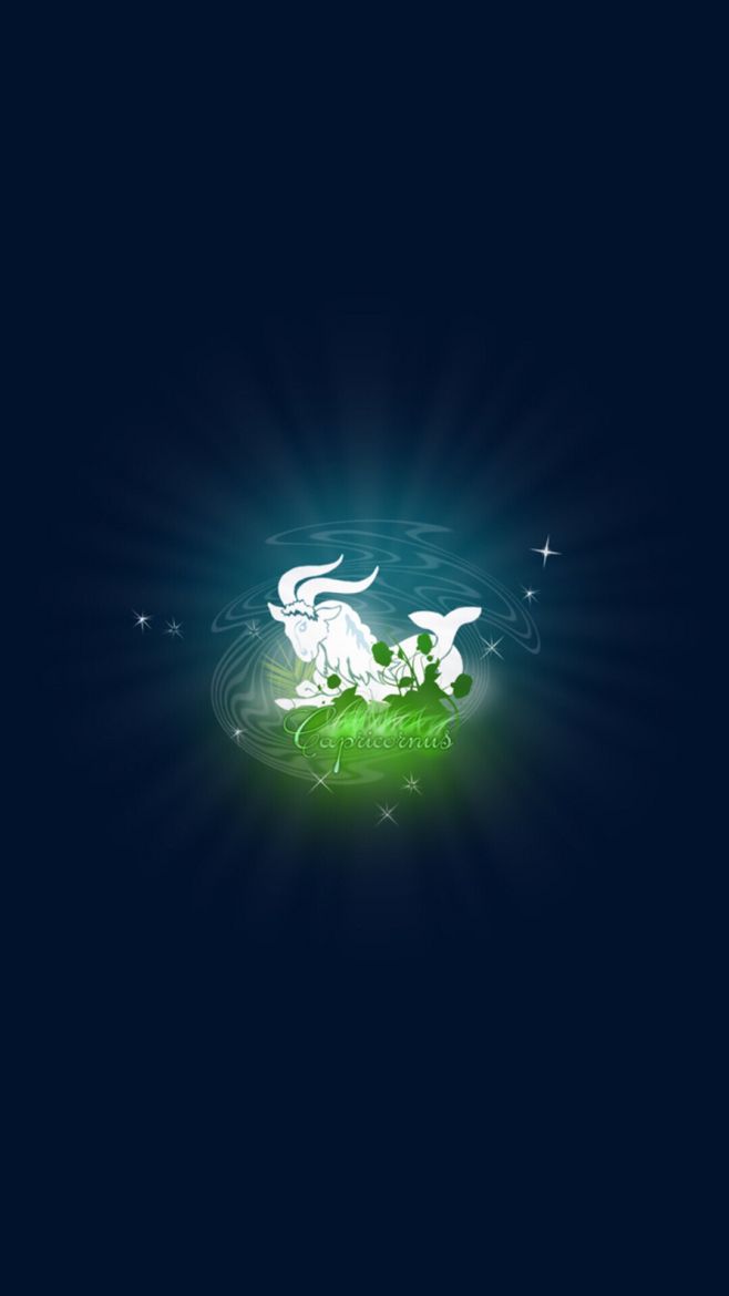 十二星座壁纸14