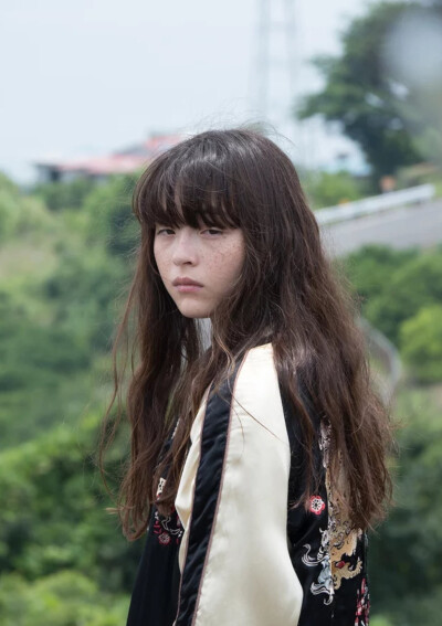 托拉