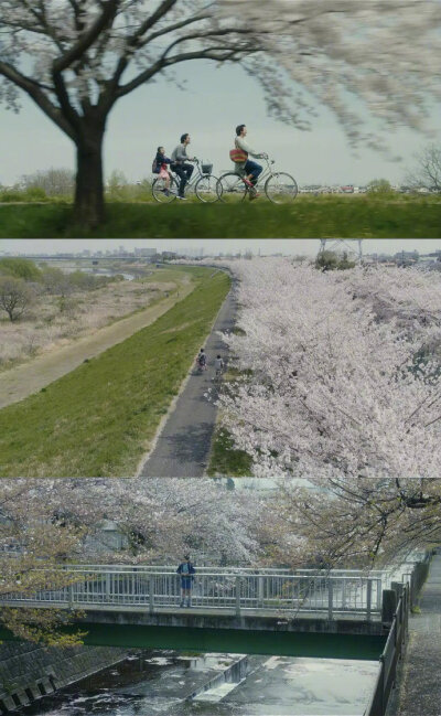 电影里的春天,一起去踏青啊.