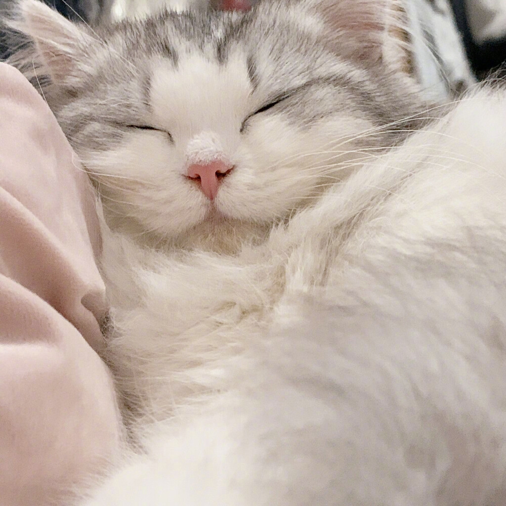 一眨眼这个月又快过完羵5最开心的是家里来了个小朋友!咪咪太可爱了!