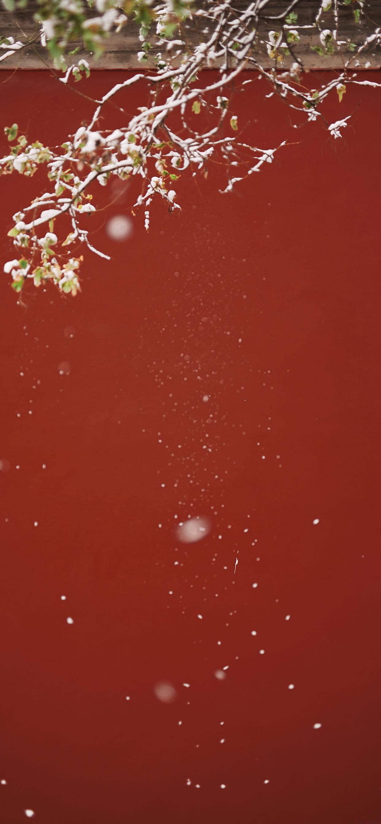 3月30日 14:19   关注  锁屏壁纸 手机壁纸 聊天背景