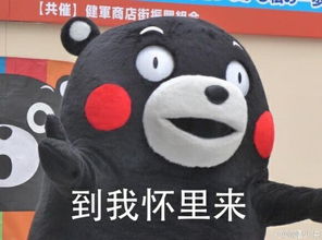 表情包啊