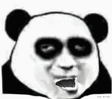 大熊猫黑眼圈
