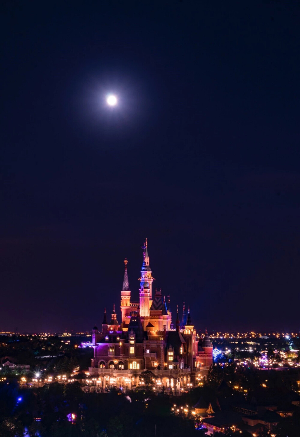 迪斯尼城堡夜晚背景图图片