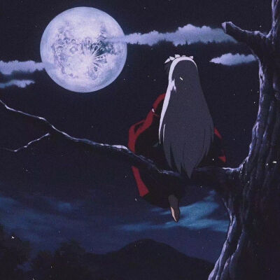 犬夜叉白发背影