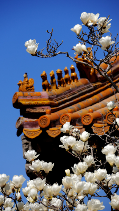 故宫风景壁纸