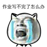 作业写不完怎么办