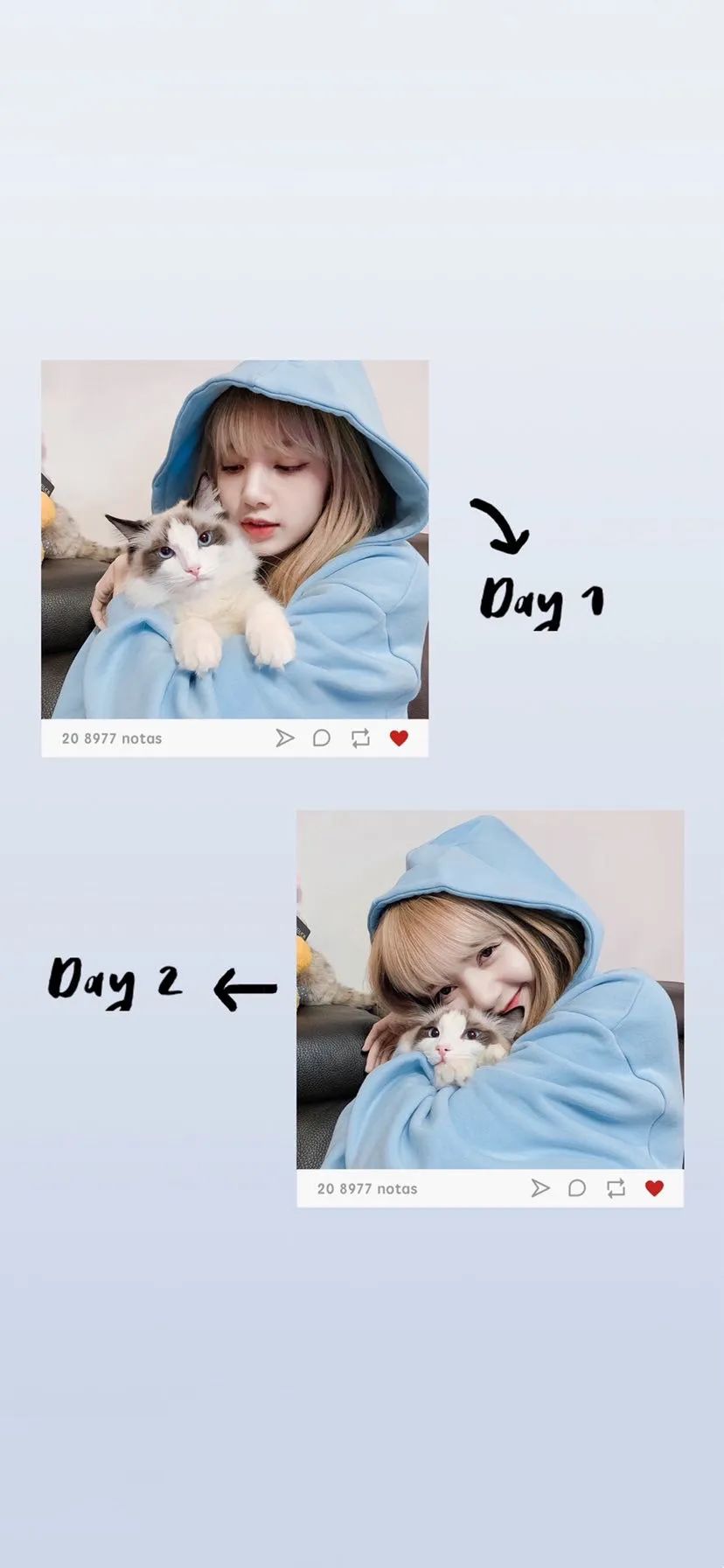 lisa壁纸可爱pink,lisa壁纸可爱粉色 blackpink lisa壁纸