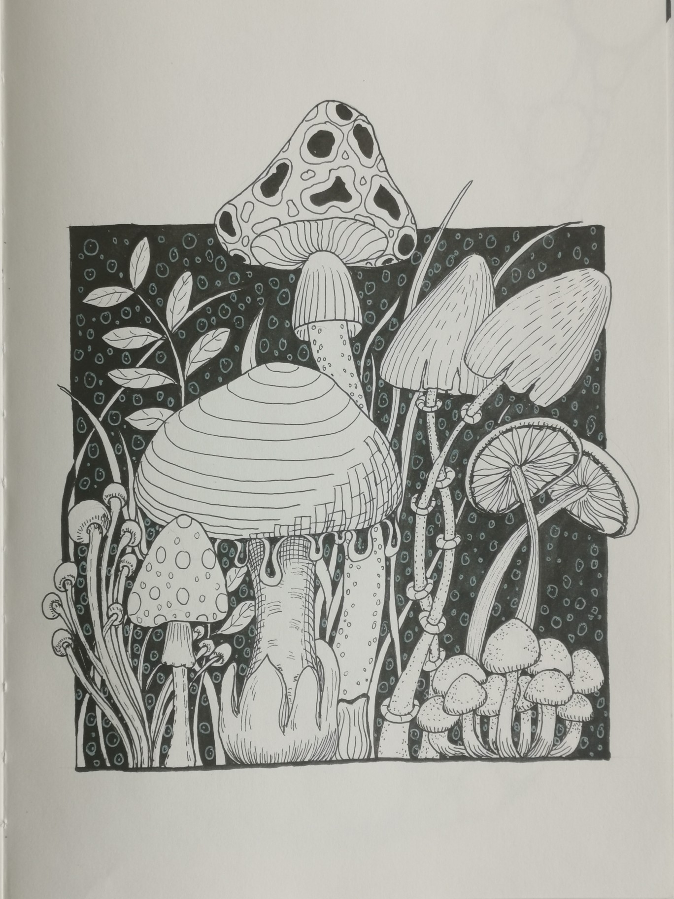 简单好玩的线描蘑菇