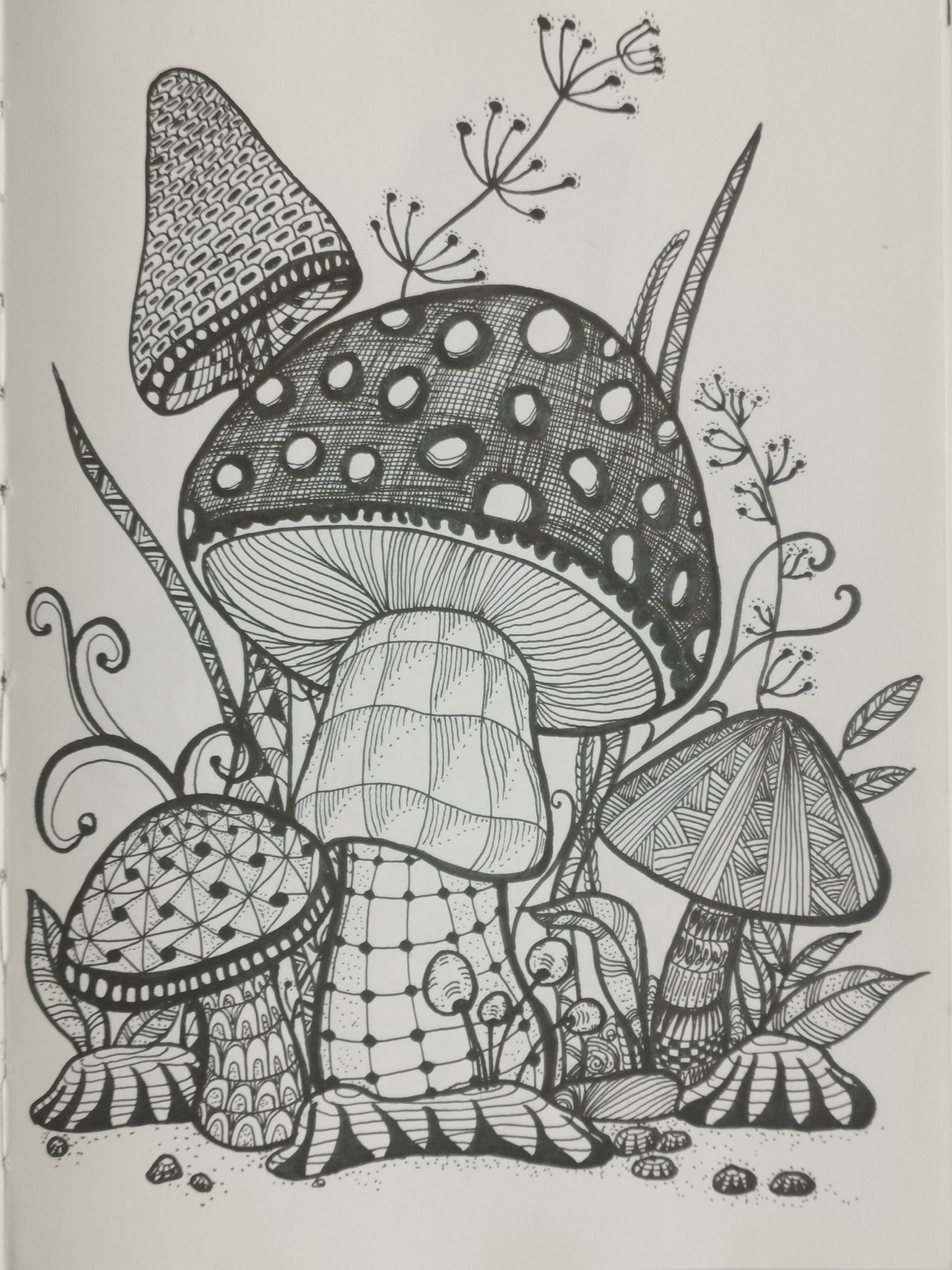 简单好玩的线描蘑菇