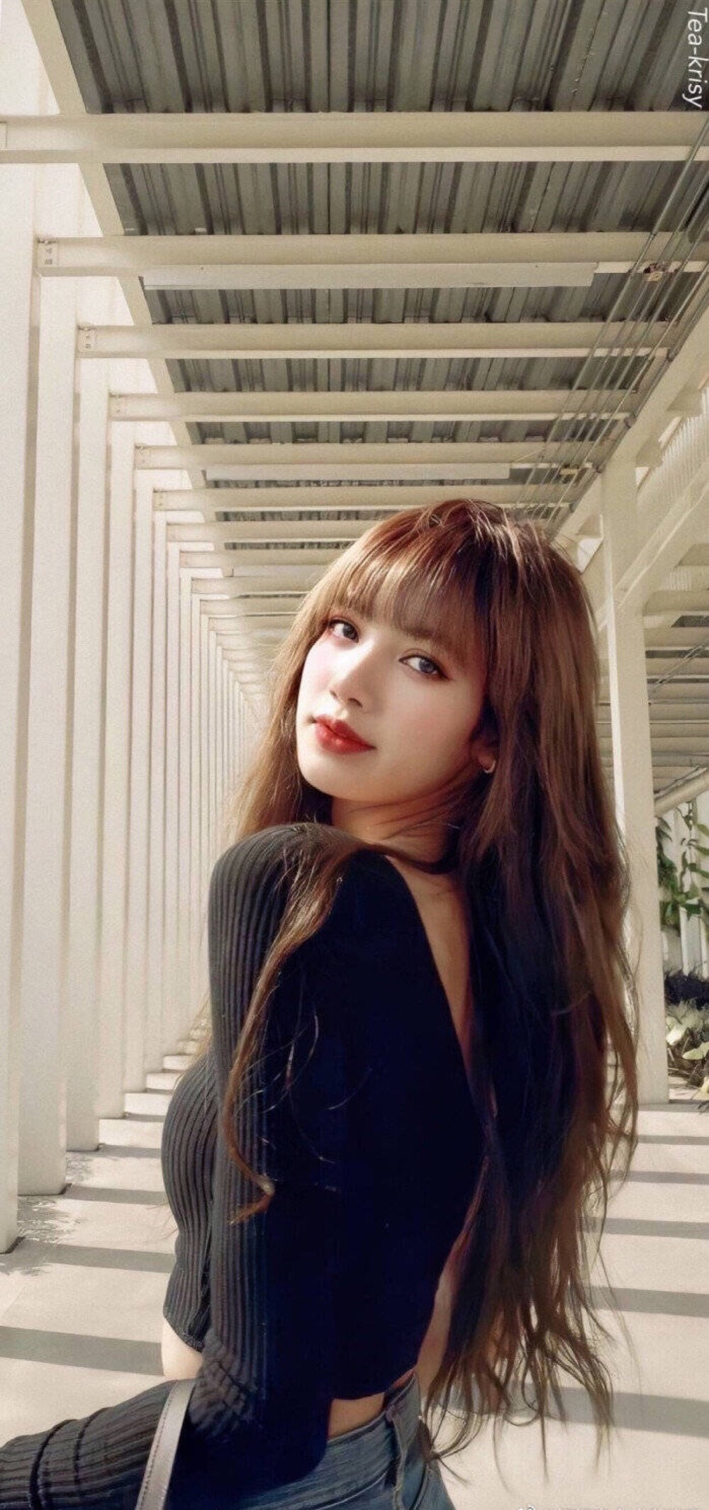 lisa壁纸头像背景图