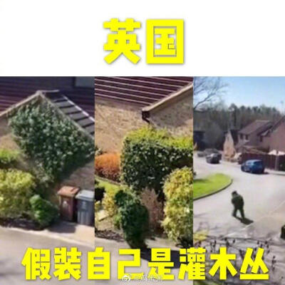 歪瑞古德表情包