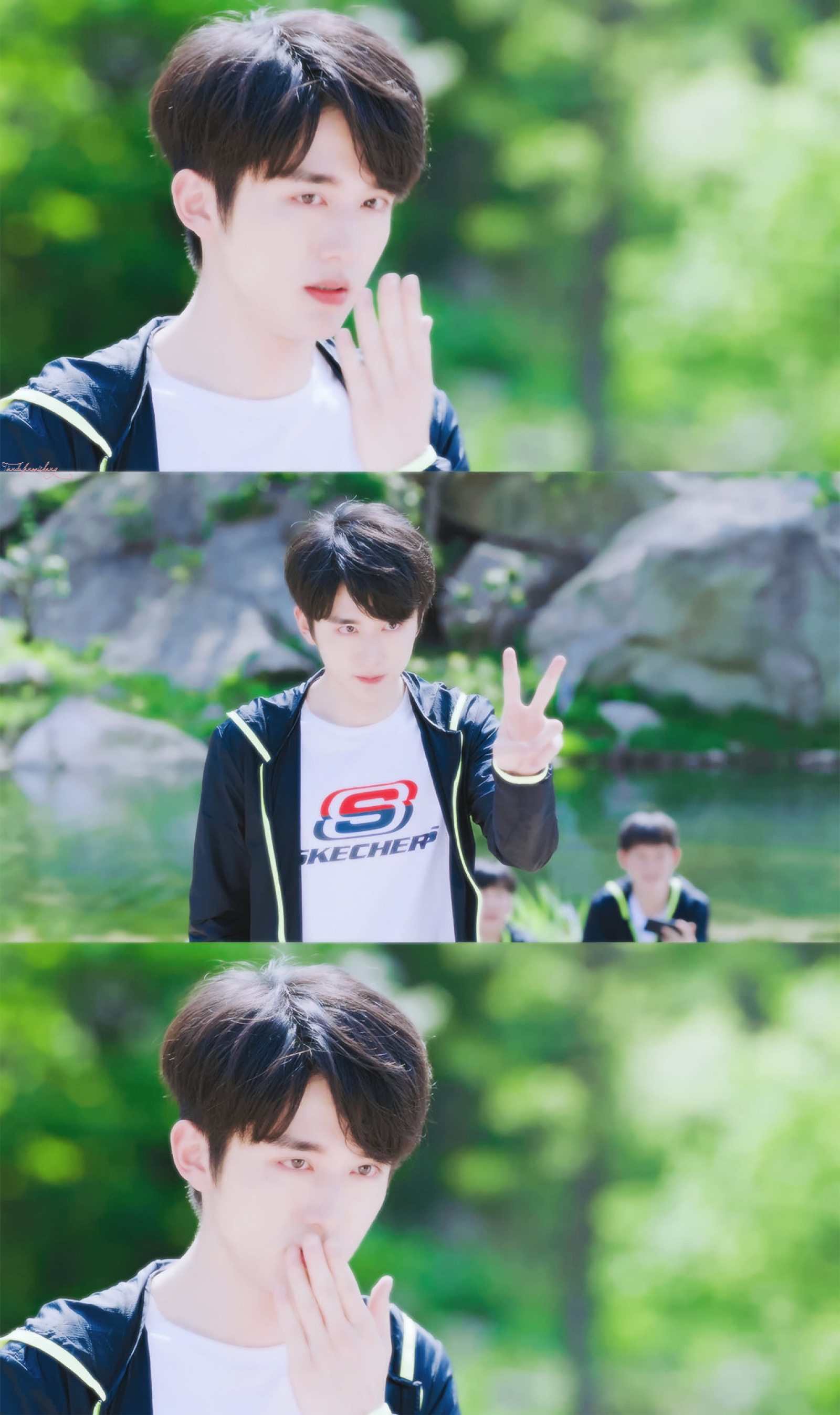 冰糖炖雪梨 | 黎语冰| 张新成 cr:甜度贩卖