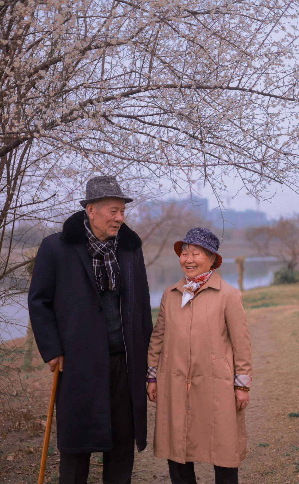 《给78岁的爷爷奶奶的写真》