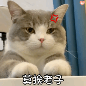 委屈猫咪表情包gif图片