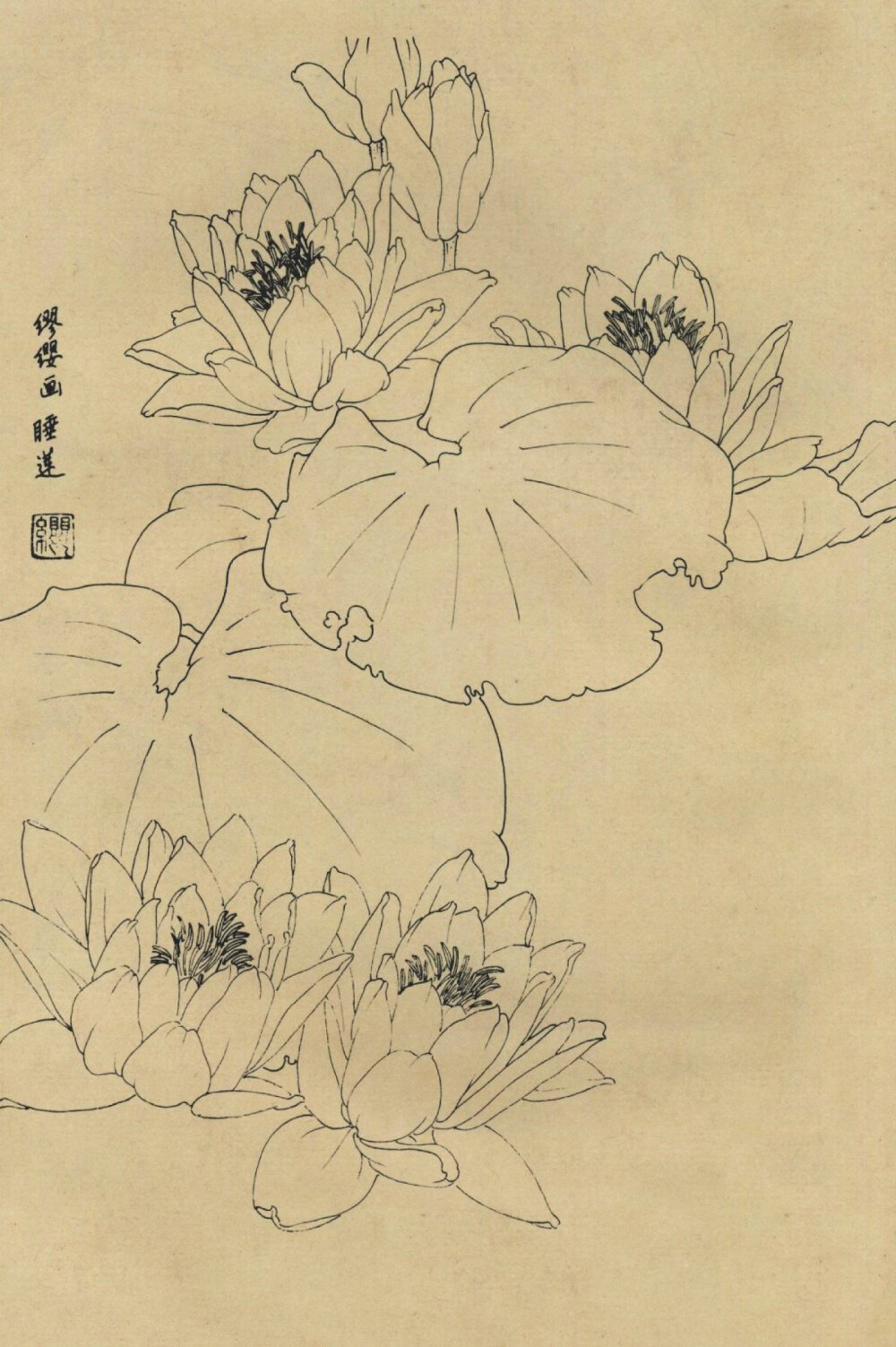 花卉