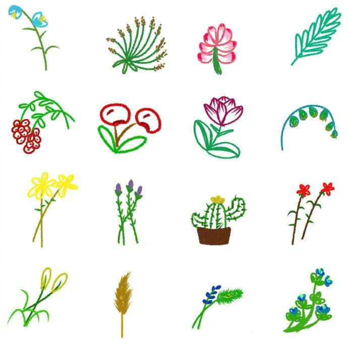 简单的植物简笔画画报图片