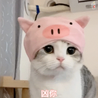 小猫王泡芙的照片图片