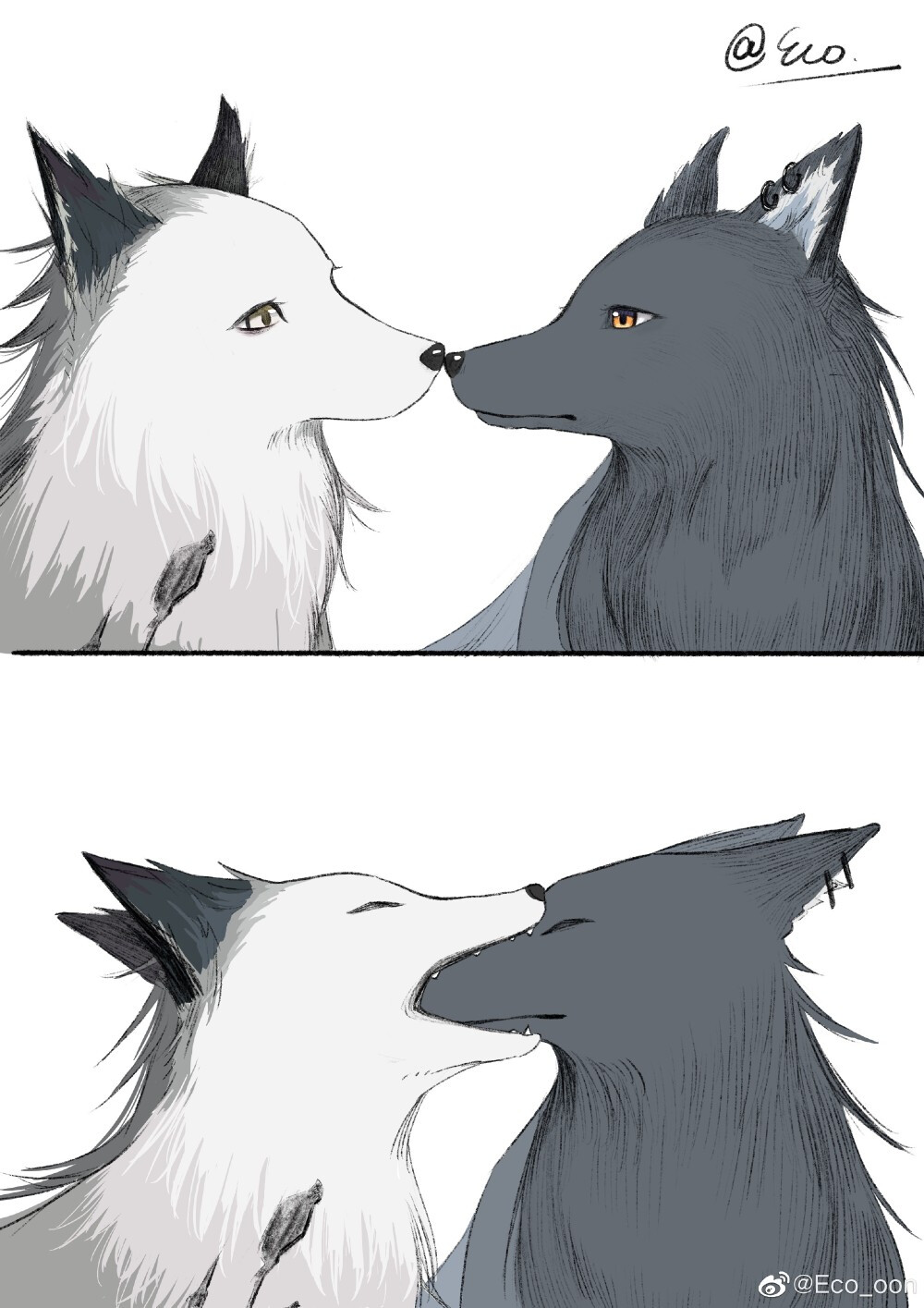 双狼表情包图片