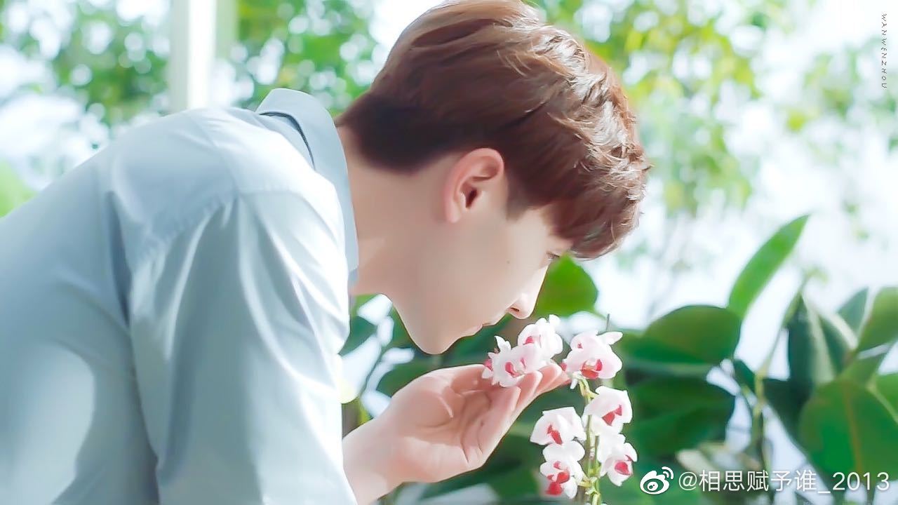 邓伦7315邓北北 - 堆糖,美图壁纸兴趣社区