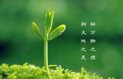 绿色卡通背景图