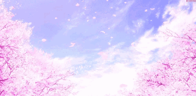 樱花雨 动态壁纸图片