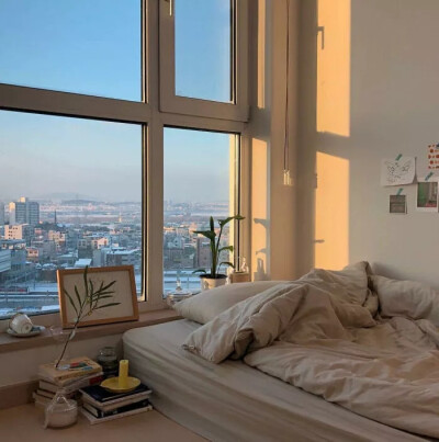 背景,阳光