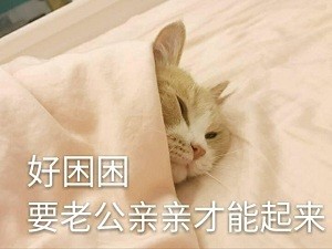 晚安老公表情包 亲亲图片