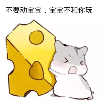 仓鼠呐喊表情包