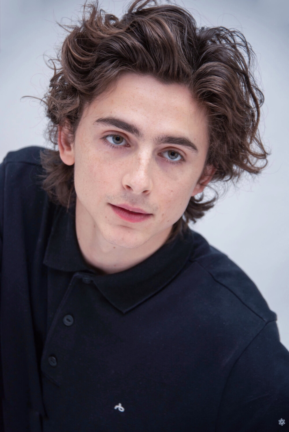 蒂莫西·柴勒梅德timothéechalamet(请以你的名字呼唤我)蒂莫西·柴
