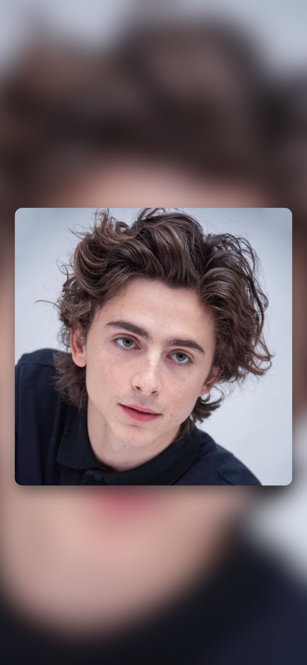 蒂莫西·柴勒梅德timothéechalamet(请以你的名字呼唤我)蒂莫西·柴
