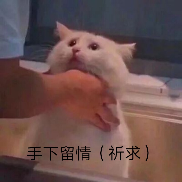 情侣表情包