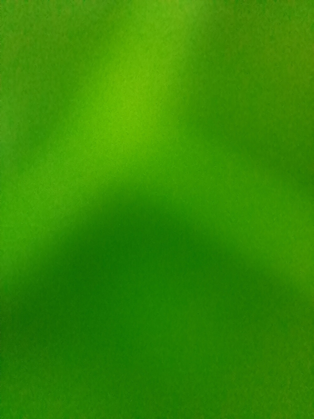 纯绿壁纸竖屏图片