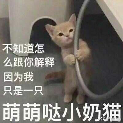 嗷呜