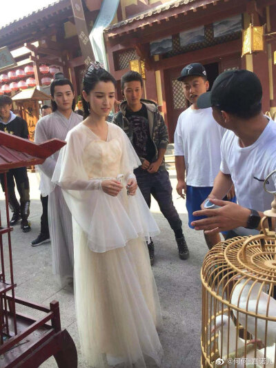 天舞纪 苏犹怜云杉