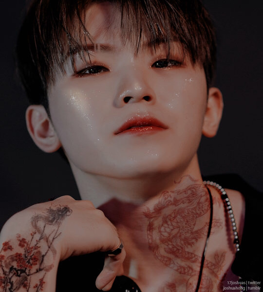 woozi 堆糖,美图壁纸兴趣社区