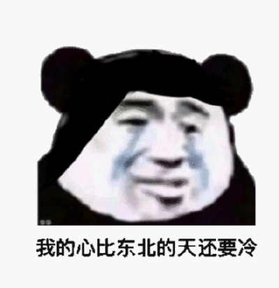 我的心比东北的天还要冷(流泪熊猫头表情包)