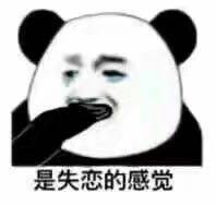 是失恋的感觉(熊猫头捂嘴流泪)