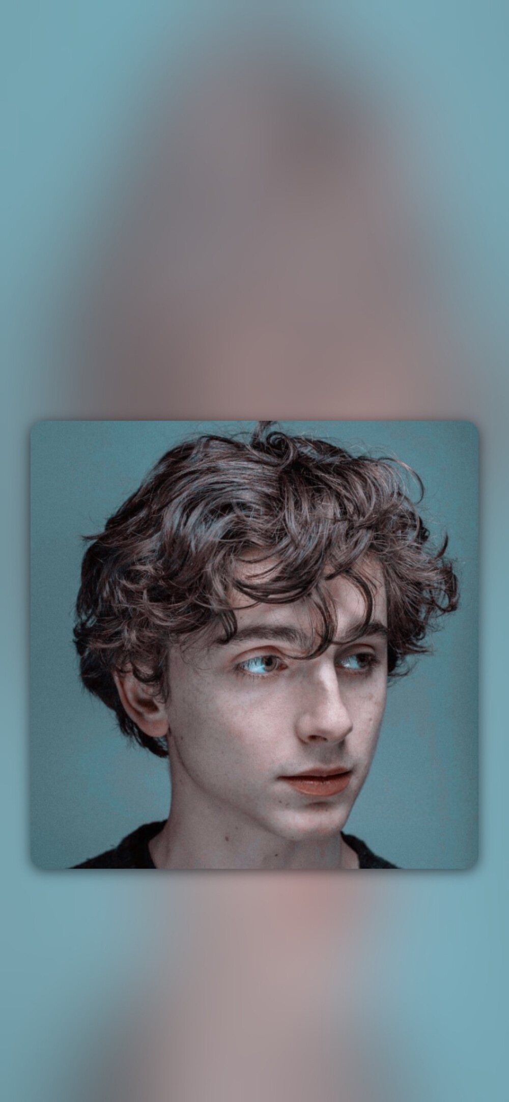 蒂莫西·柴勒梅德timothéechalamet(请以你的名字呼唤我)蒂莫西·柴