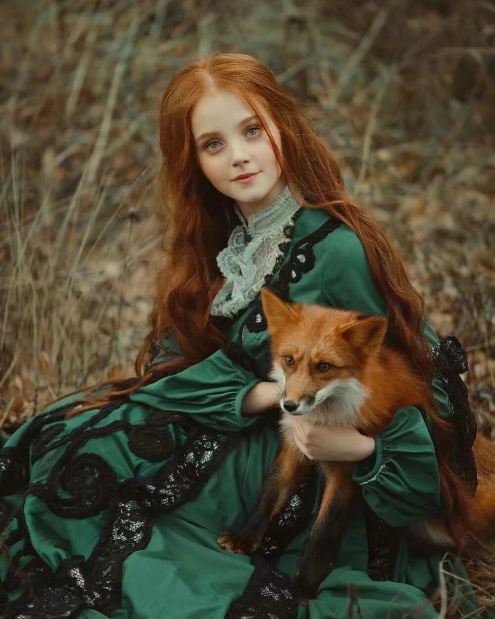 红发女孩和赤狐