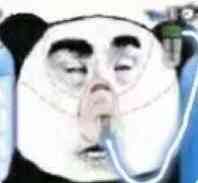 熊猫头吸氧表情包高清图片