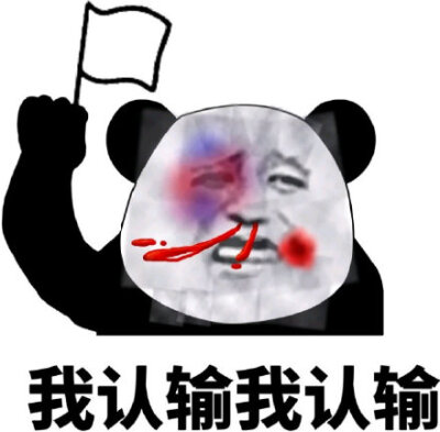 熊猫举旗表情包图片