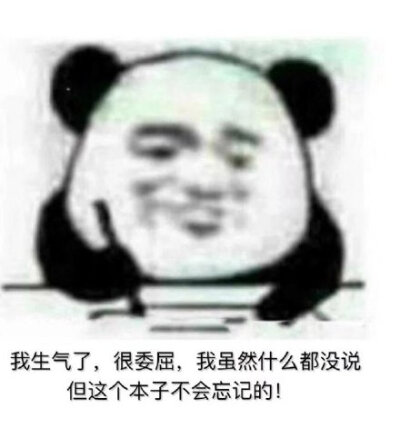 记仇表情包熊猫图片