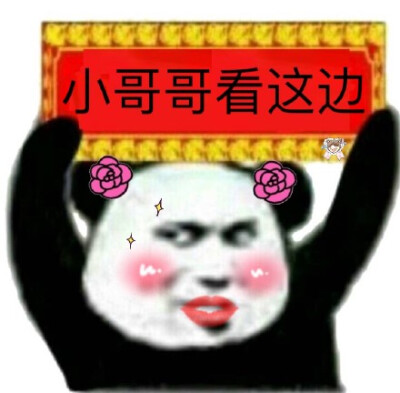 熊猫举牌子空白表情包图片