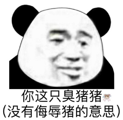 你这只臭猪猪(没有侮辱猪的意思)